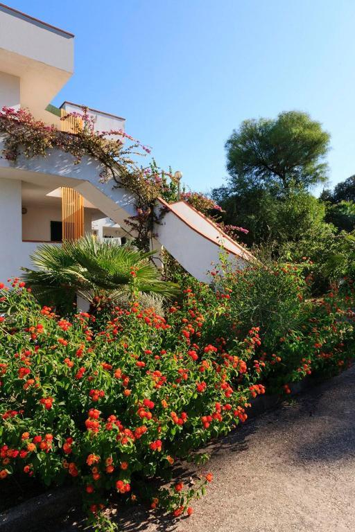 Hotel Villaggio Costa Ripa Rodi Garganico Exteriör bild